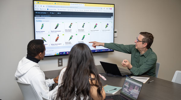 Librarian points to image in research database to two students.